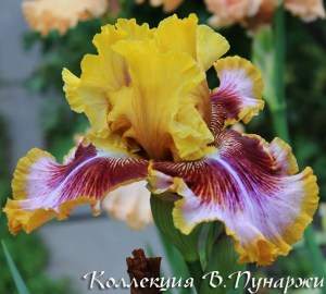 img_02548