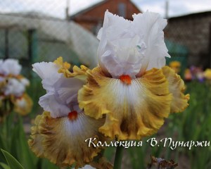 img_5232