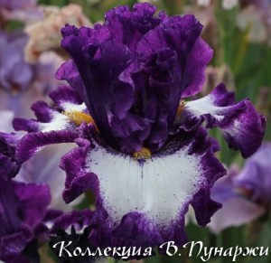 marry_the_night-3710