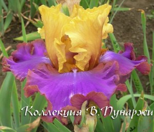 гонки_по_кругу_ei14